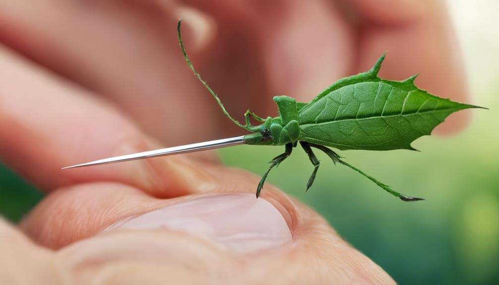 protecting hands from thorn bugs